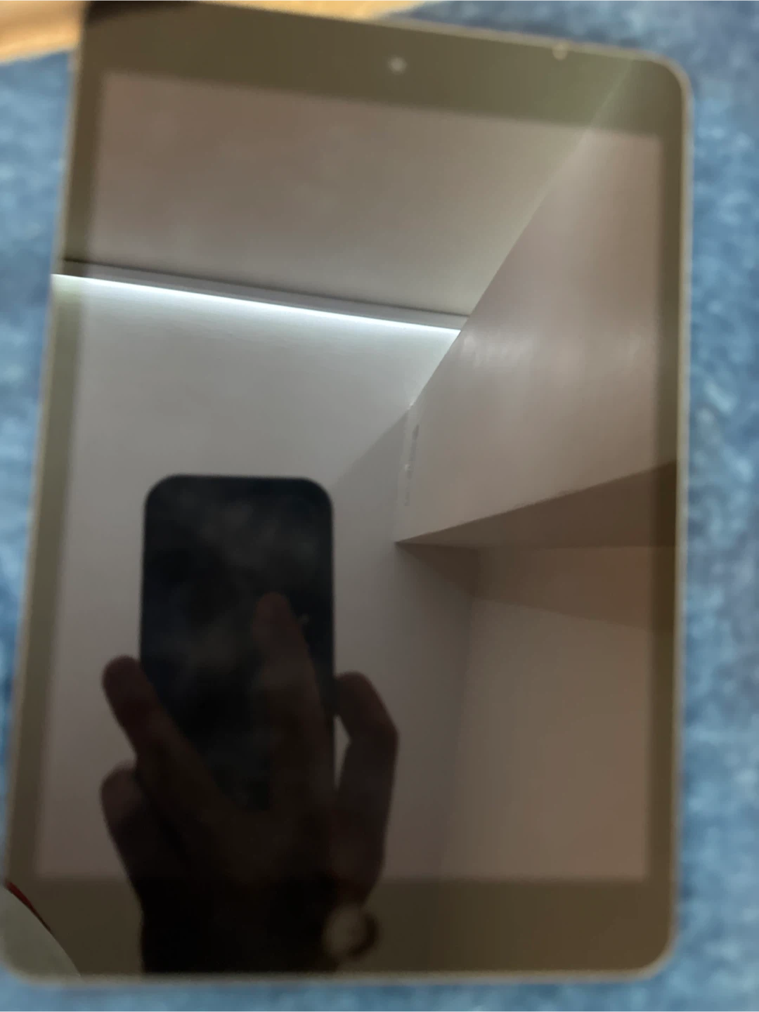 Apple iPad