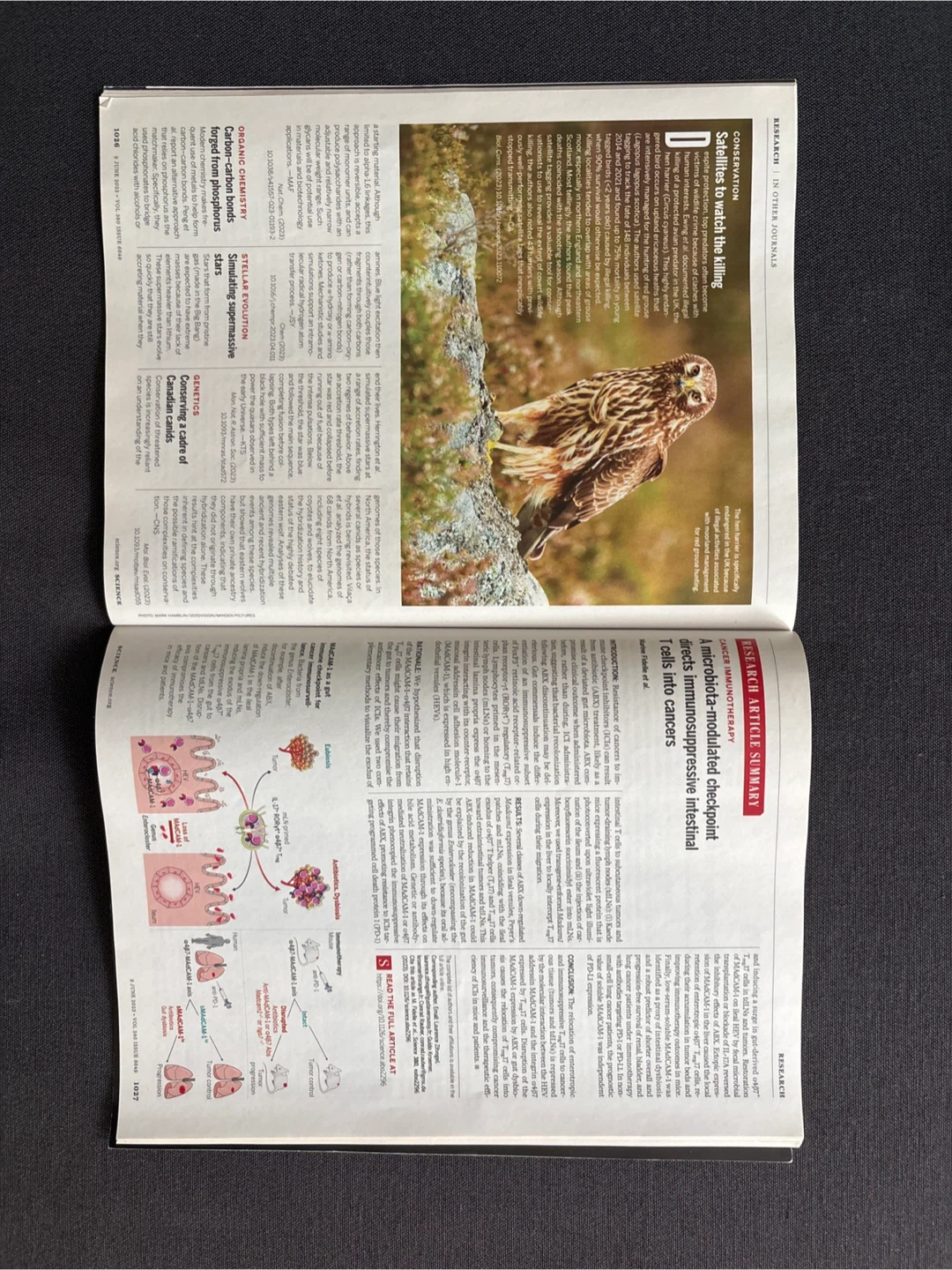 Science Magazine - June 9, 2023 - photo 3