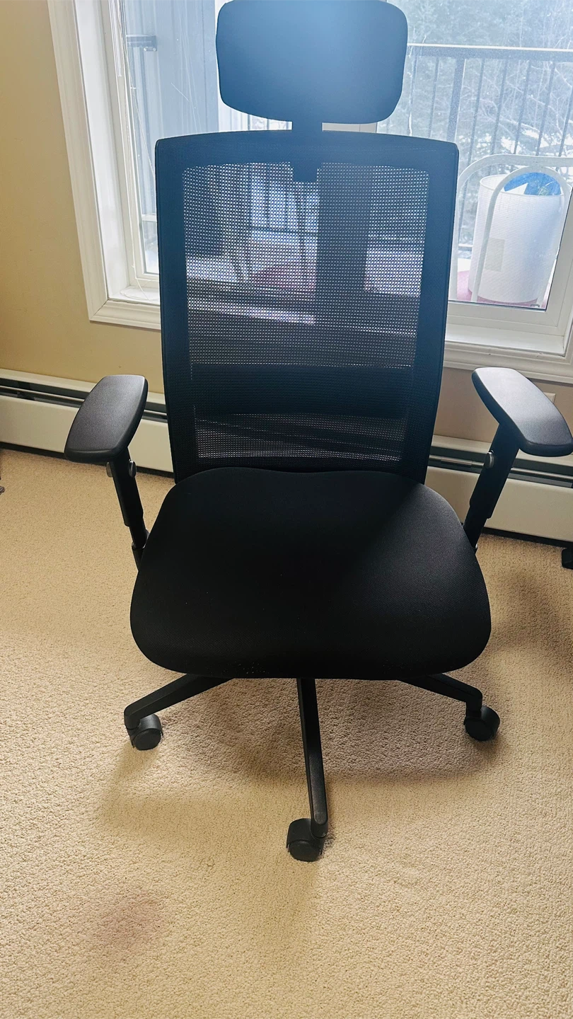 Ergonomic Mesh Office Chair with Headrest