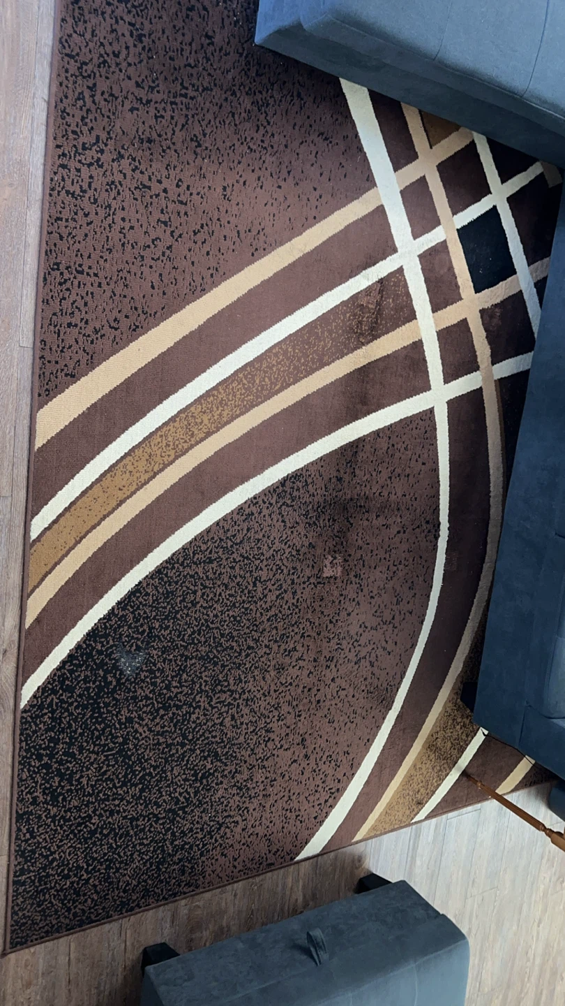 Brown Area Rug with Abstract Design