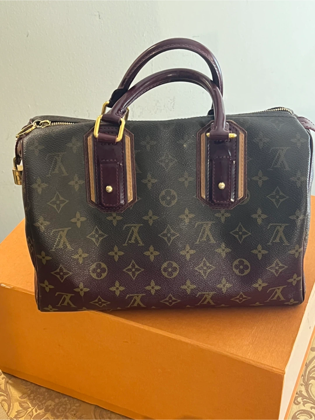 Louis Vuitton Speedy Monogram Bag