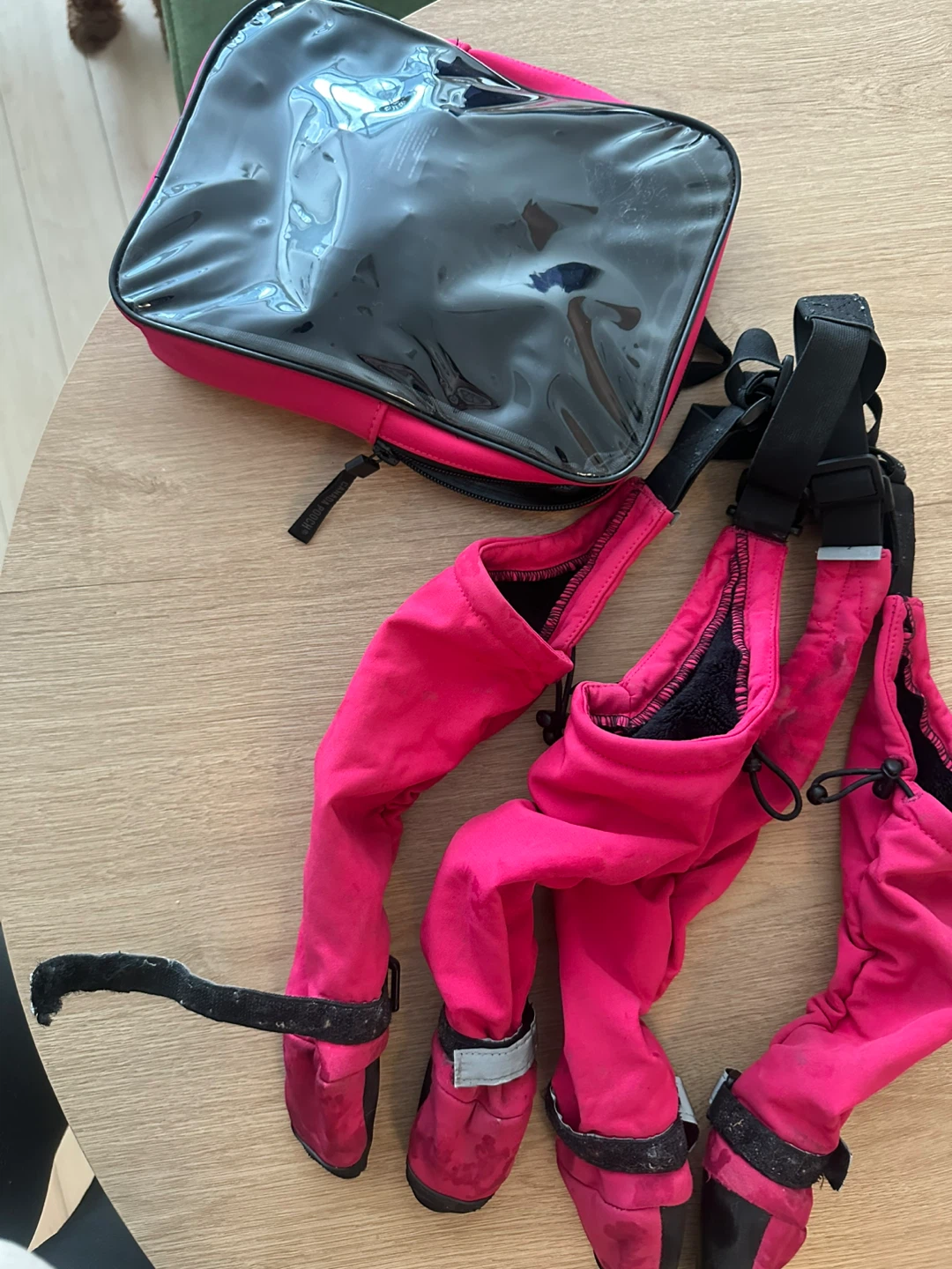 Canada Pooch Dog Boots & Bag Set - photo 3
