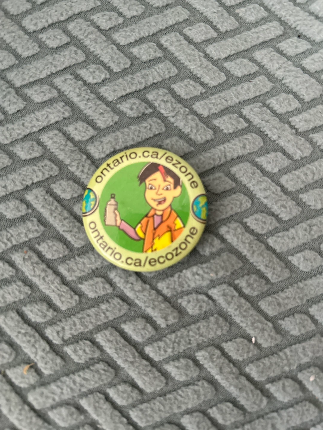 Ontario Ecozone Button Pin