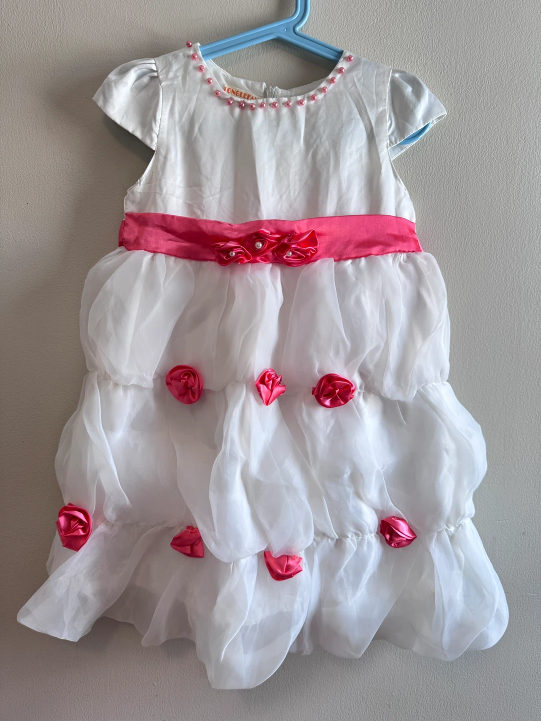 Organza Party Dress with Pink Ribbon Toddler-size 5-6T