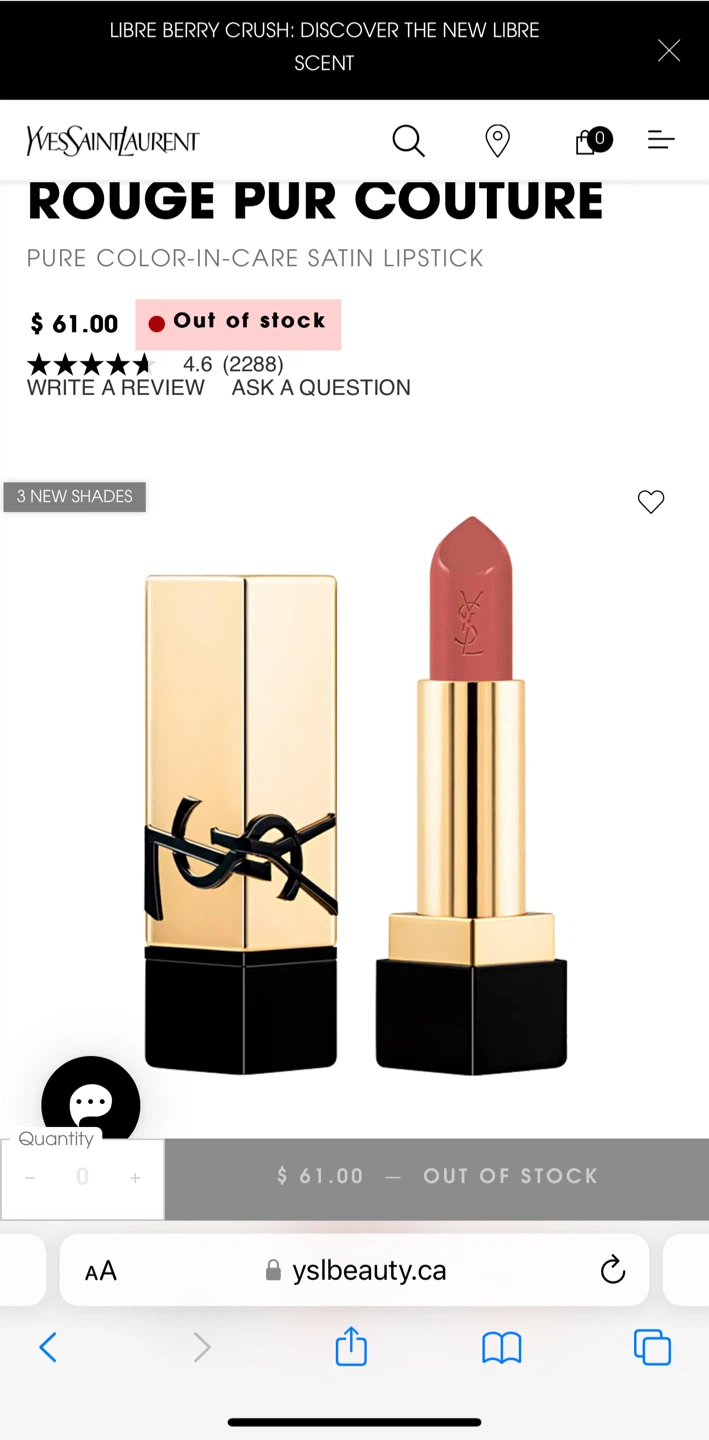 BOTH for 60 YSL Lip Gloss & Lipstick - photo 3