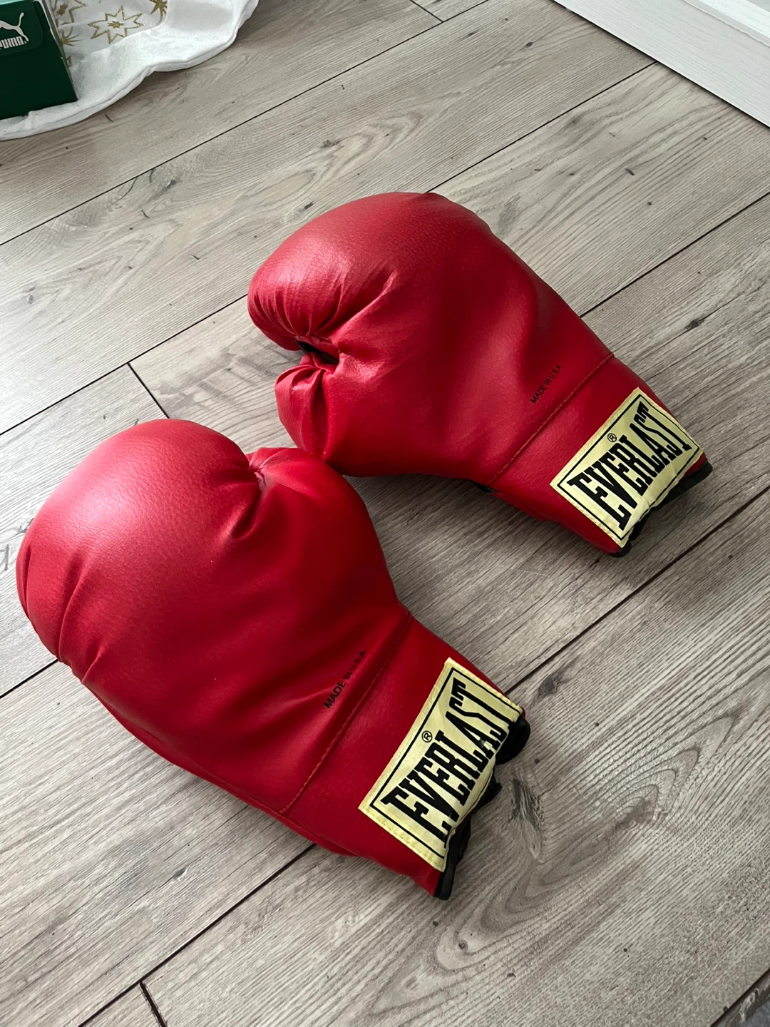 Everlast Red Boxing Gloves