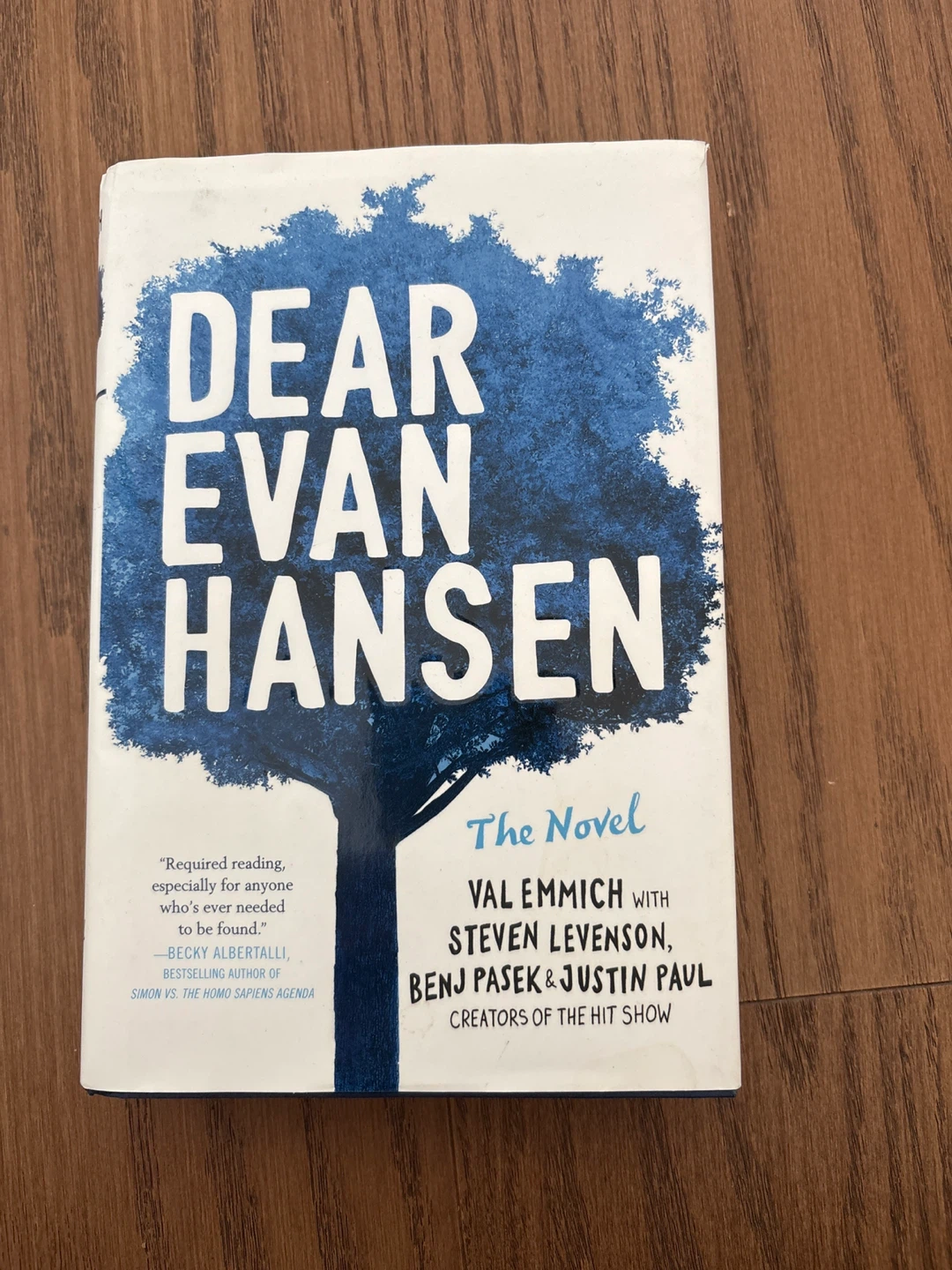Dear Evan Hansen: The Novel