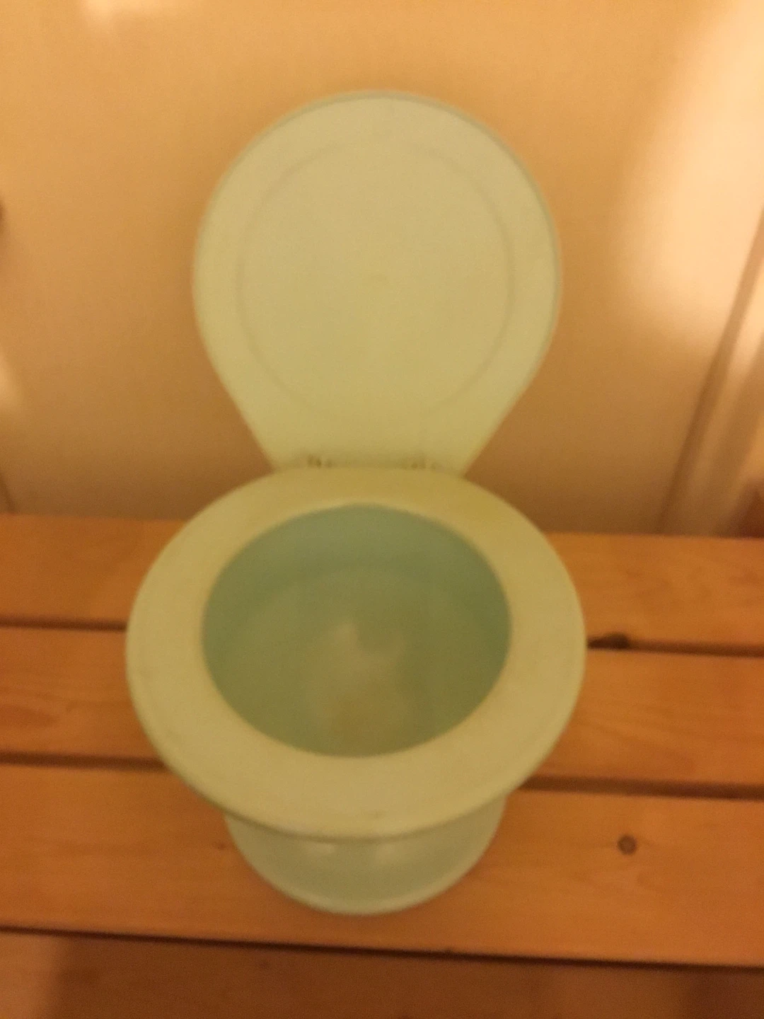 Baby’s potty - photo 2