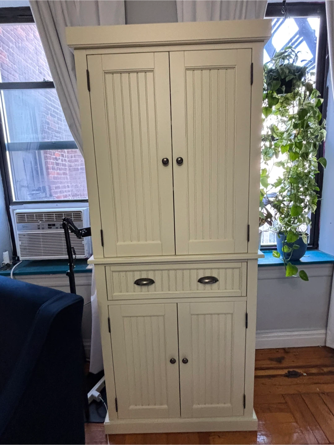Storage Cabinet with Doors and Shelves - photo 4