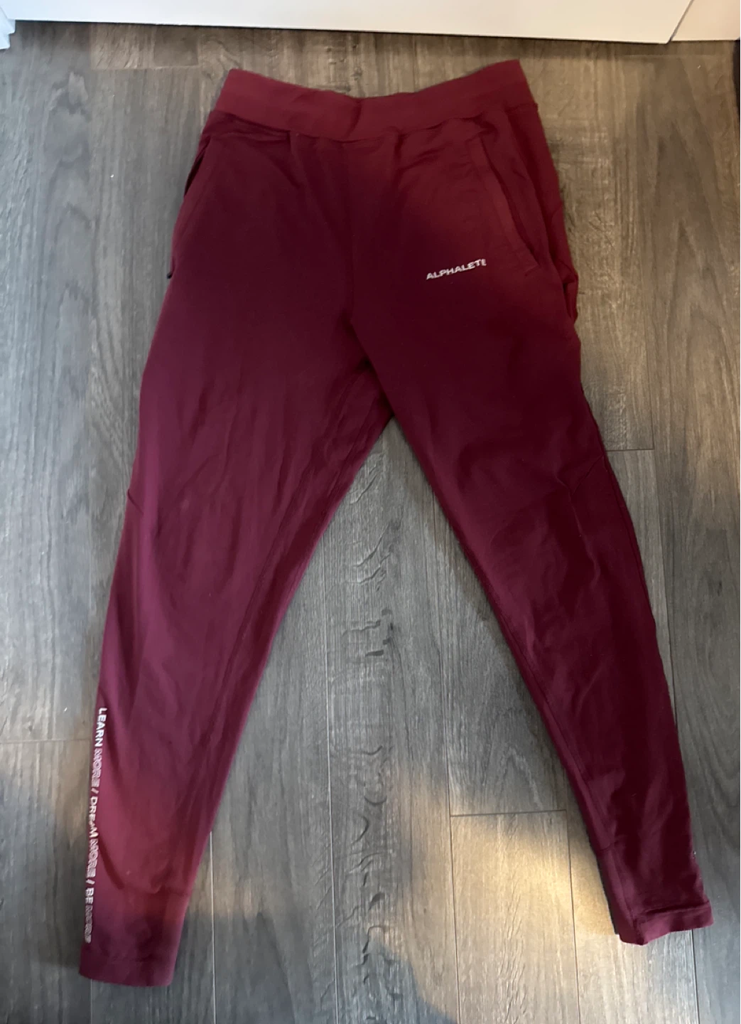 ALPHALETE Joggers - Men (Size S)