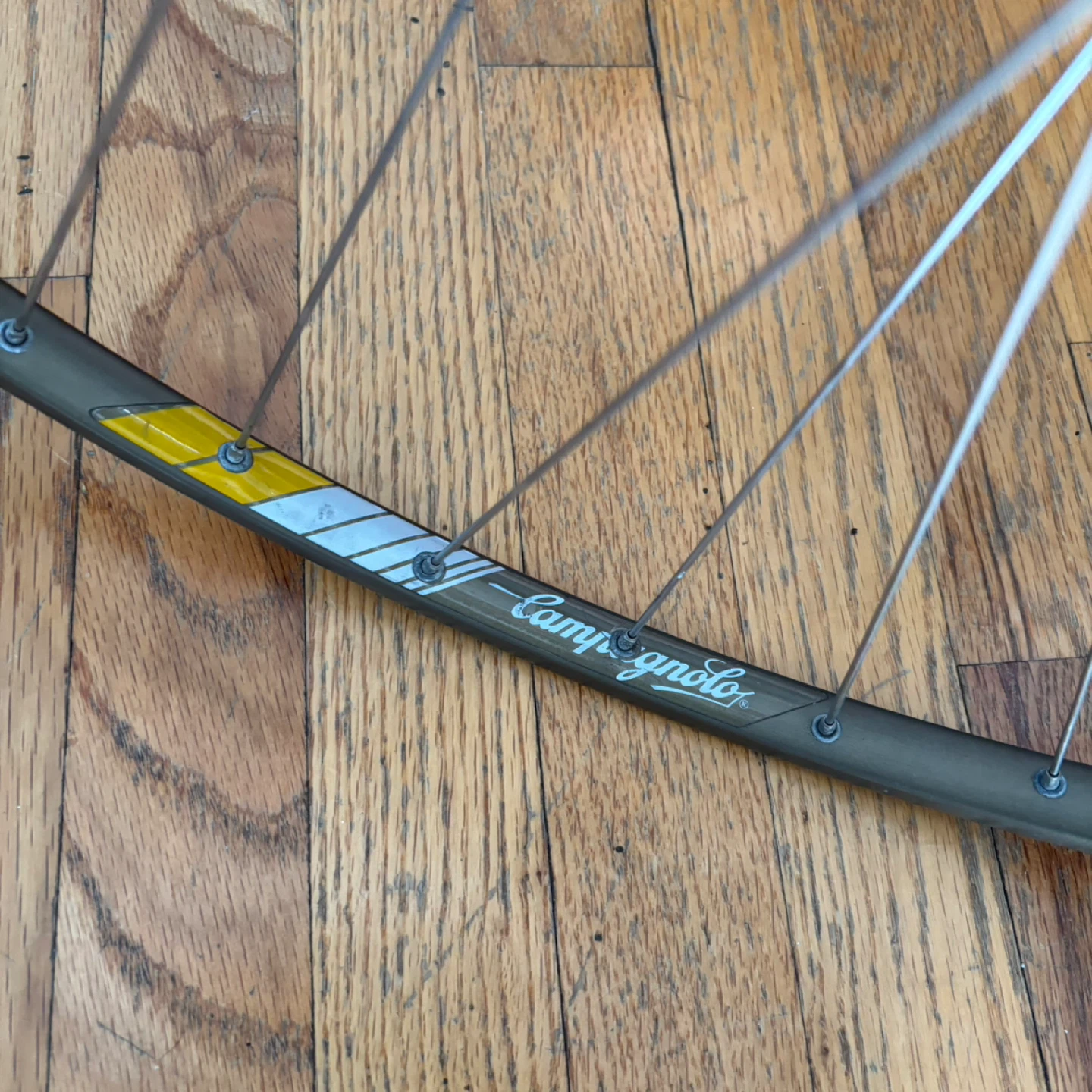 Campagnolo "Campa" Wheelset with Regina Extra Freewheel - photo 4