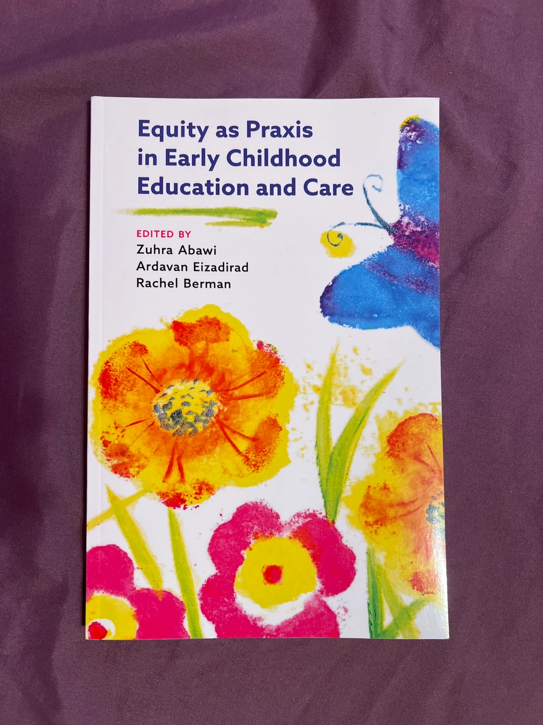 Equity as Praxis in Early Childhood Education and Care Book