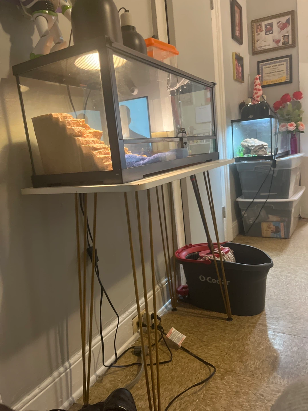 Glass Terrarium with Stand