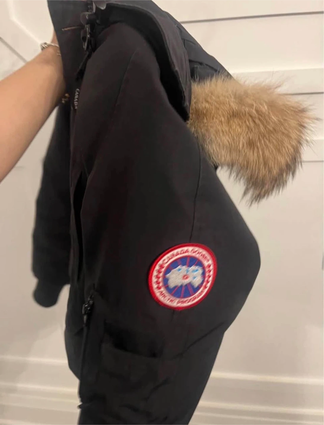 Canada Goose Chilliwack Bomber (NEED GONE)