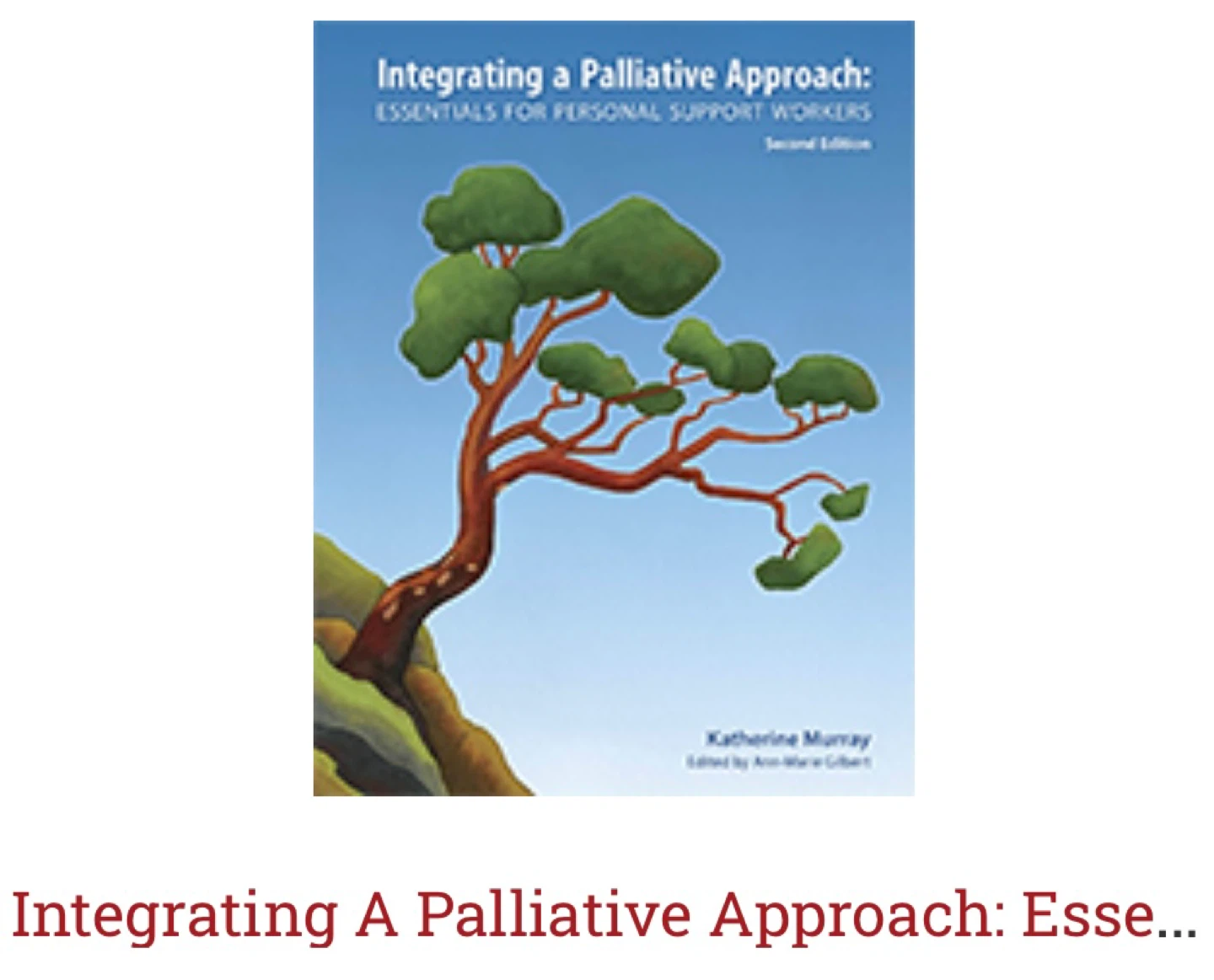 Integrating a Palliative Approach PSW, Second Edition