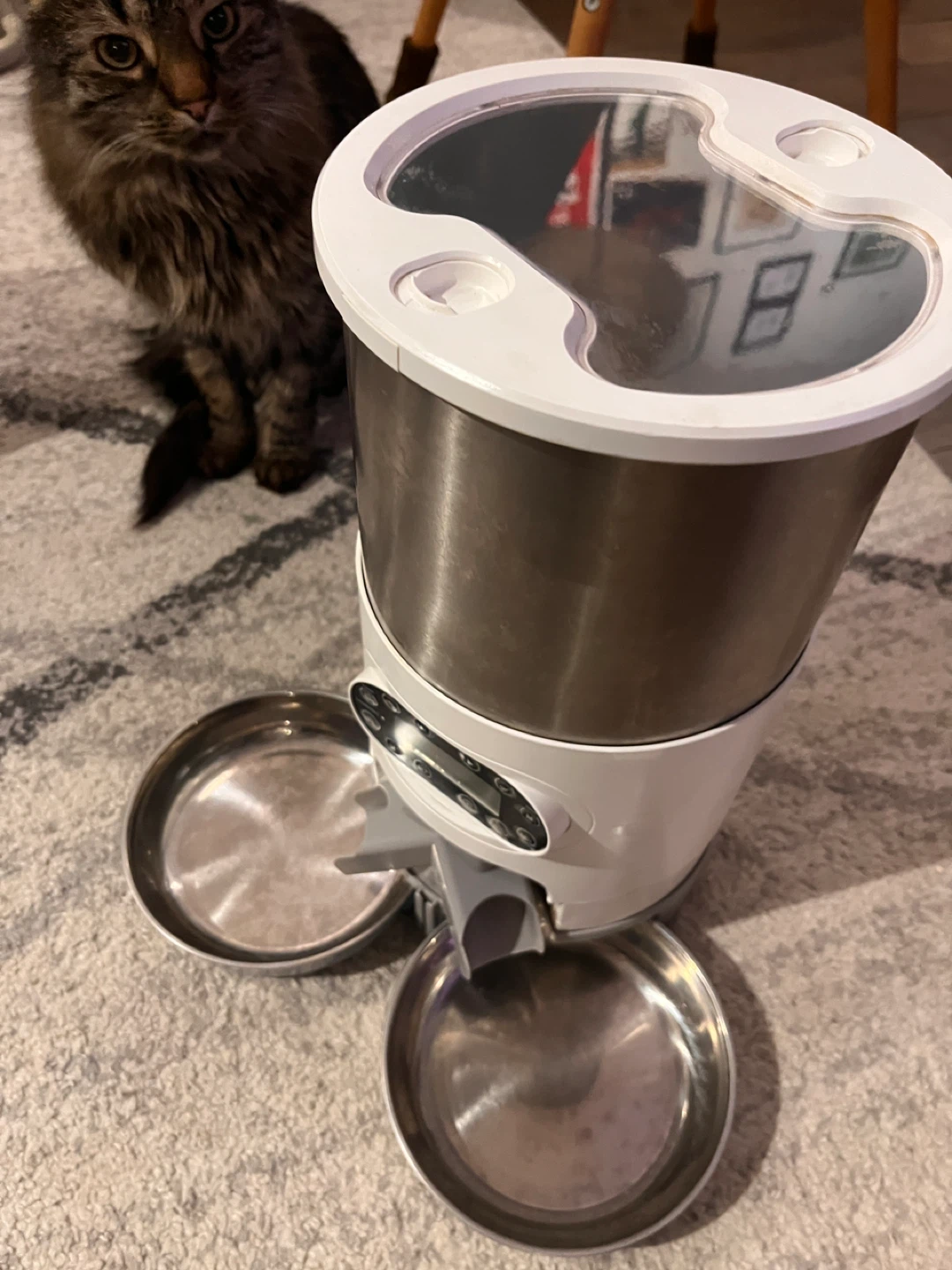 Automatic Pet Feeder with Dual Stainless Steel Bowls - photo 4