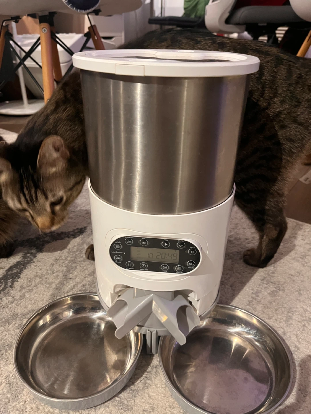Automatic Pet Feeder with Dual Stainless Steel Bowls