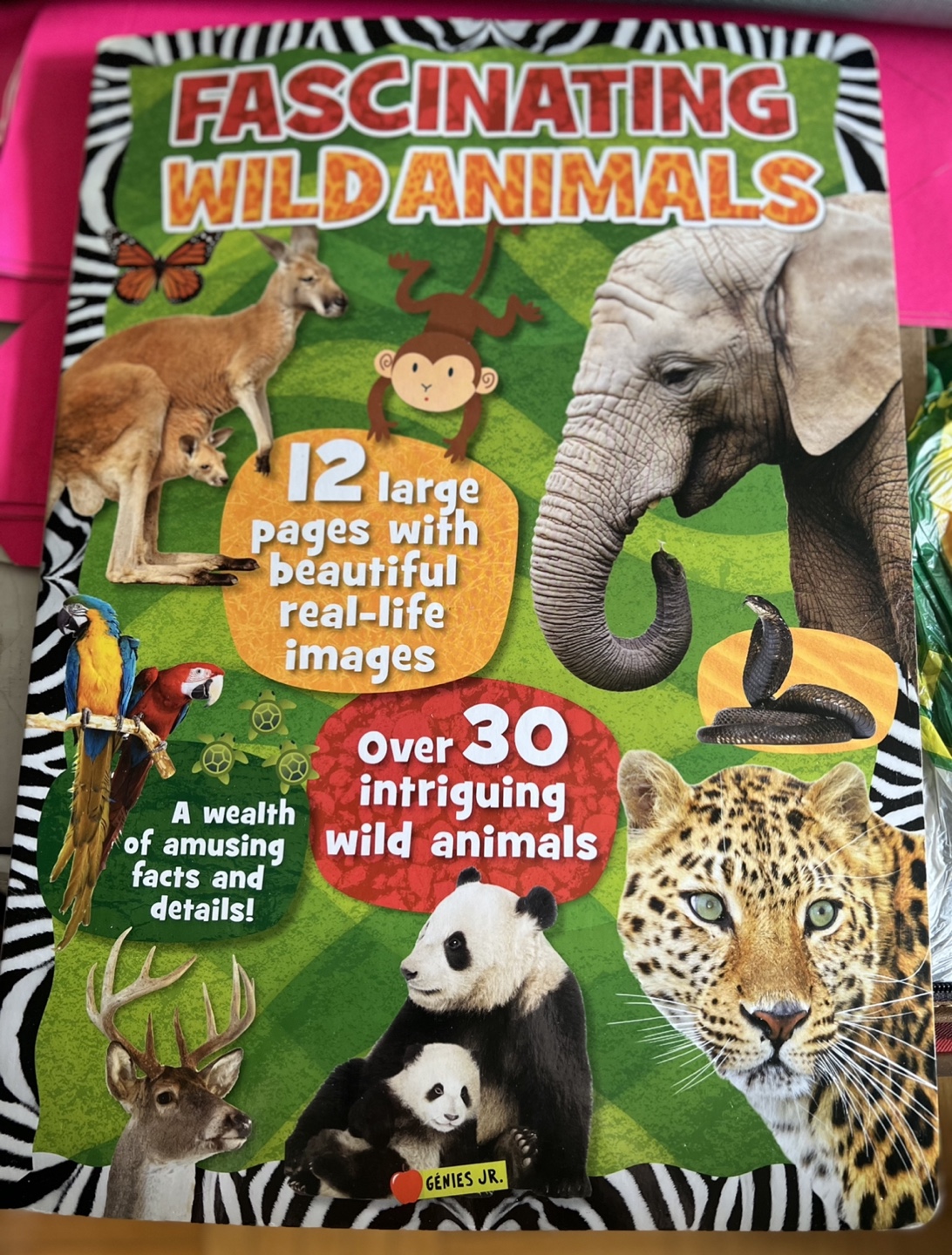 New-Fascinating Wild Animals Book