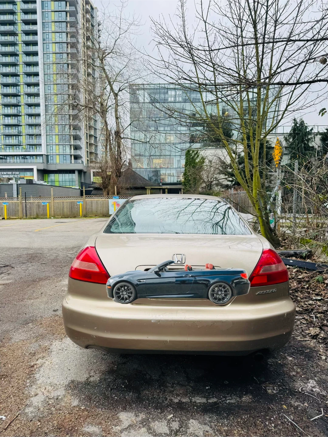 2003 Honda Accord Coupe - photo 3
