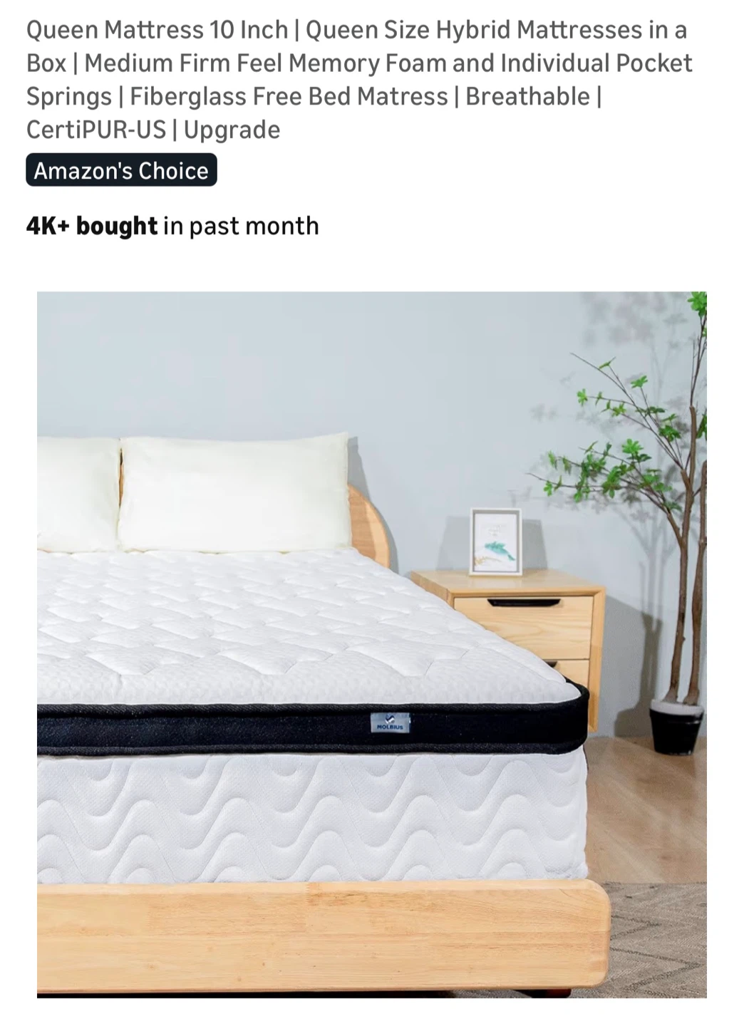 Queen Mattress 10 Inch Hybrid Memory Foam Mattress - photo 2