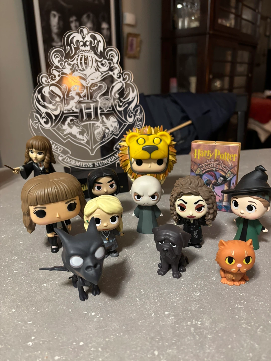 Harry Potter Funko Pop Vinyl Figures Collection