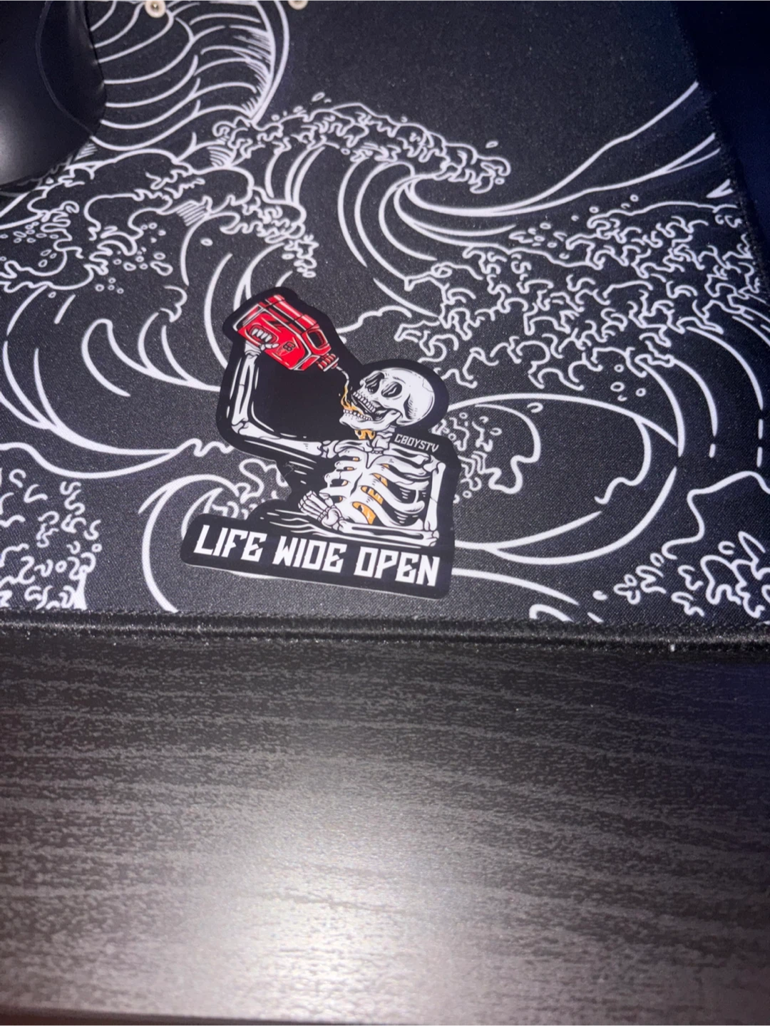 CBOYSTV "Life Wide Open" Skeleton Sticker