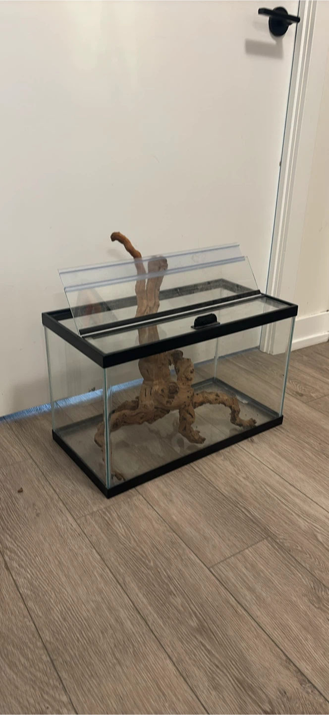 Glass Terrarium Tank with Lid - photo 2