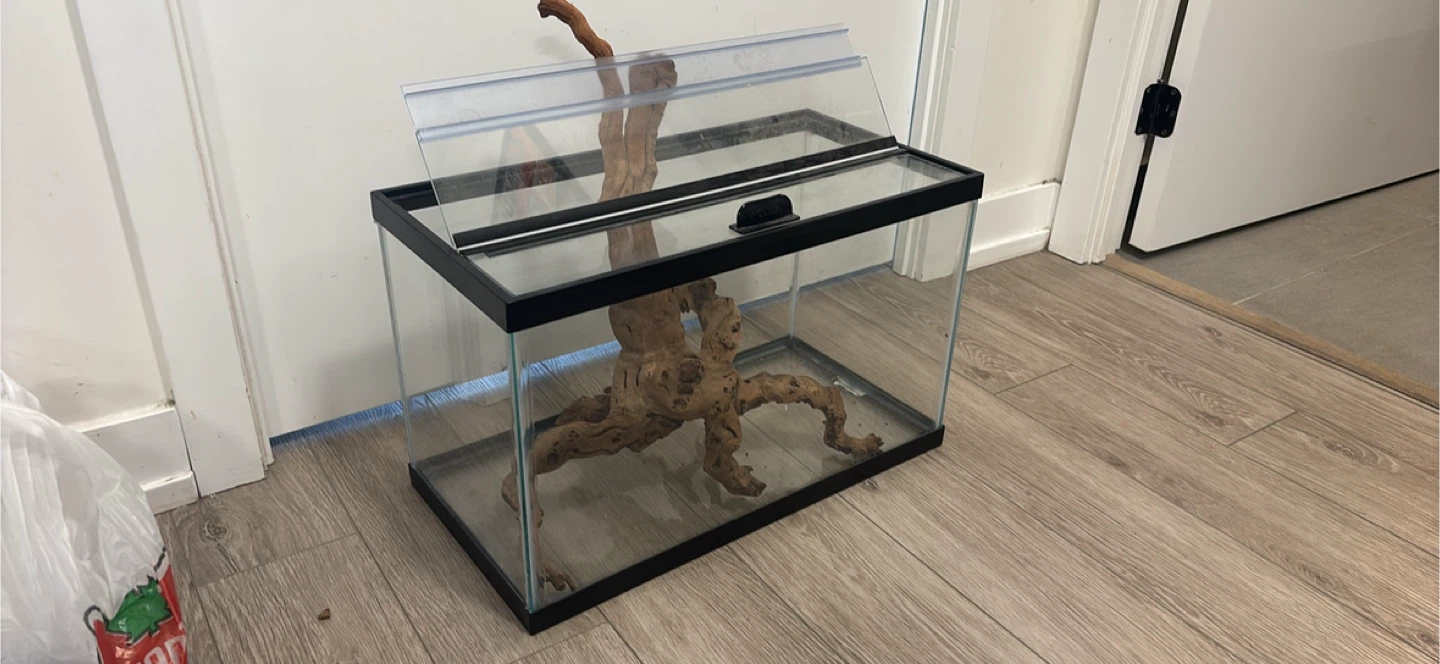 Glass Terrarium Tank with Lid - photo 3