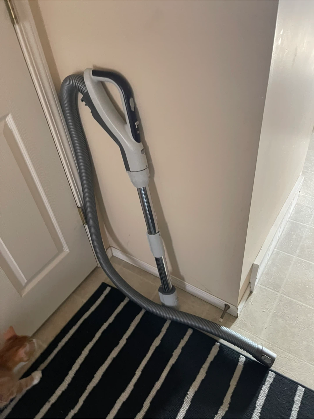 Dyson Vacuum Hose with Handle - photo 4