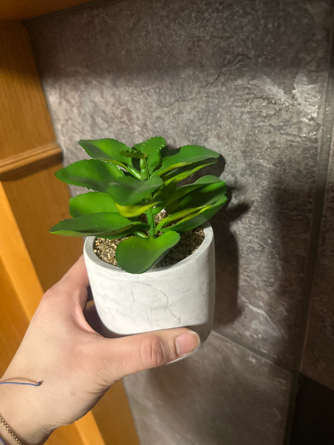 Small Artificial Succulent Plant in Grey Pot