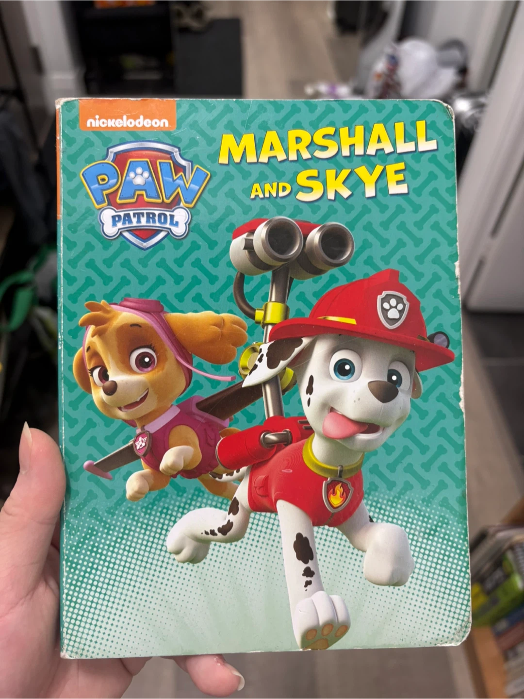 Paw Patrol Kid Book