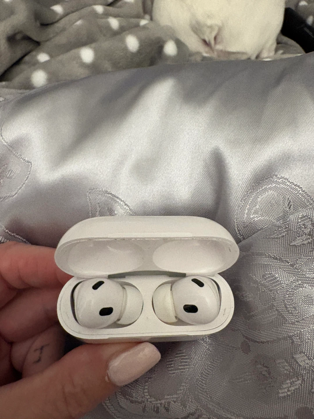 Apple AirPods Pro (Used) - photo 3