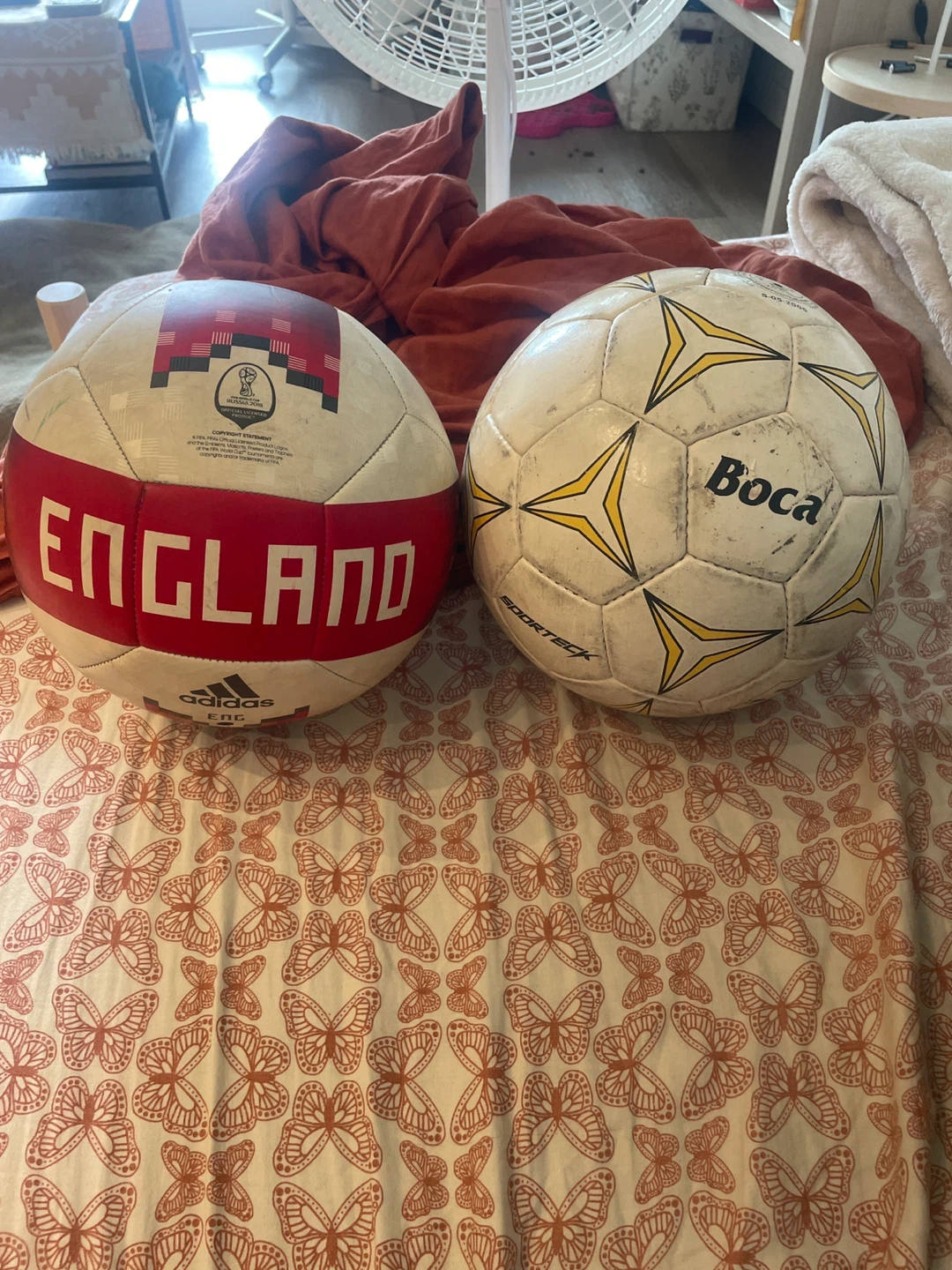 Selection of Soccer Balls - photo 4