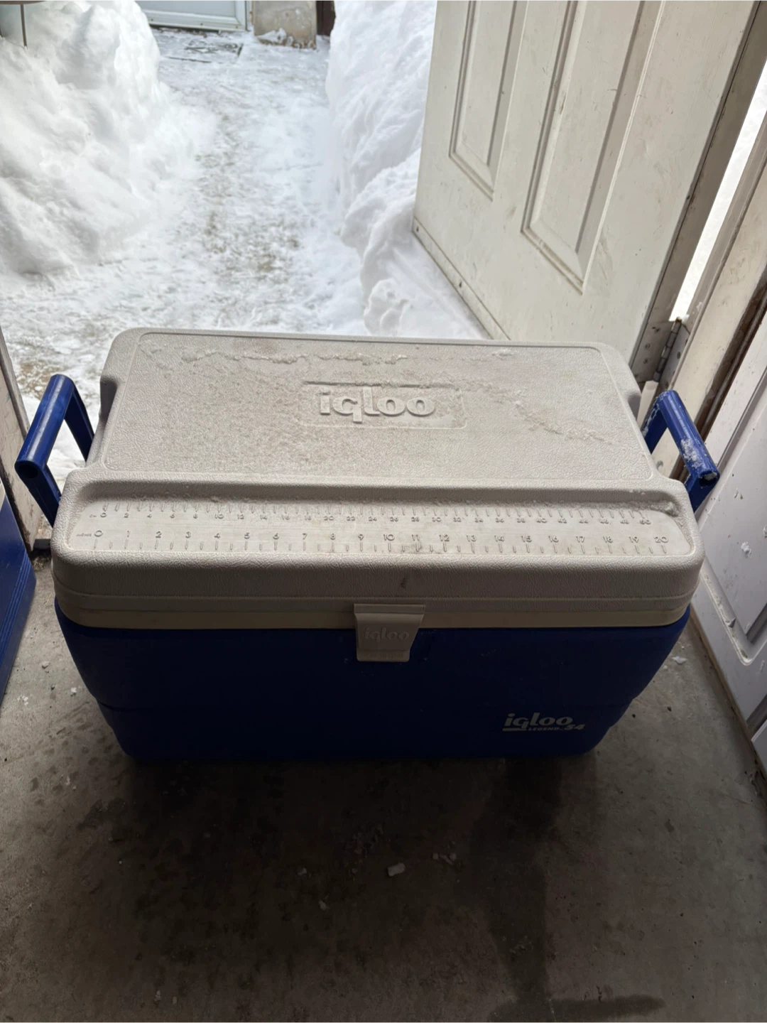 Igloo Cooler Blue/White