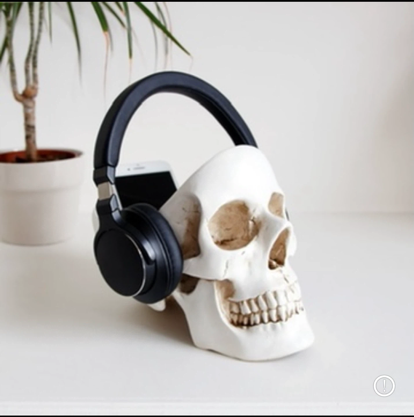 BNIB - Decorative Storage Skull by SuckUK - 2 Available - photo 2