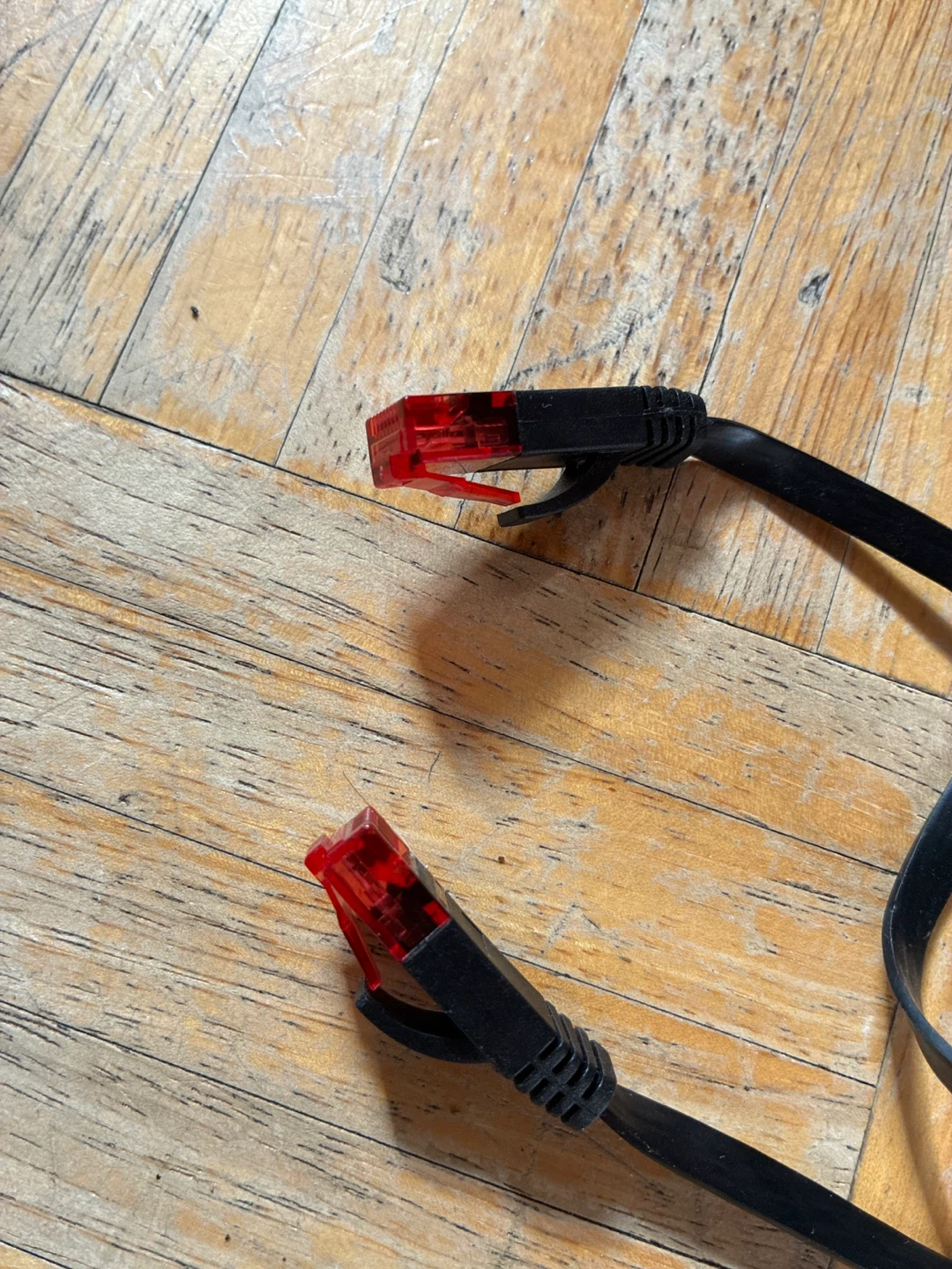 Flat CAT.6 Ethernet Cable 🧡 - photo 3