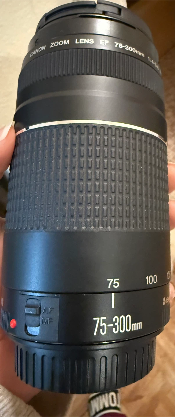 Canon EF 75-300mm III Zoom Lens