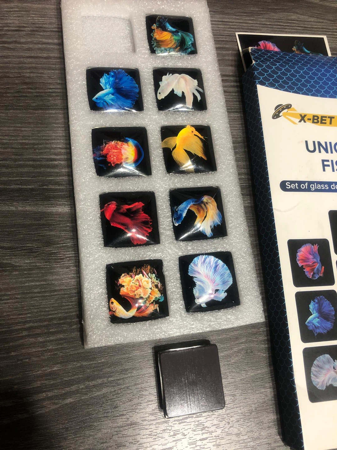 X-Bet Magnet Unique Fish Set of 10 Glass Decorative Magnets - photo 2