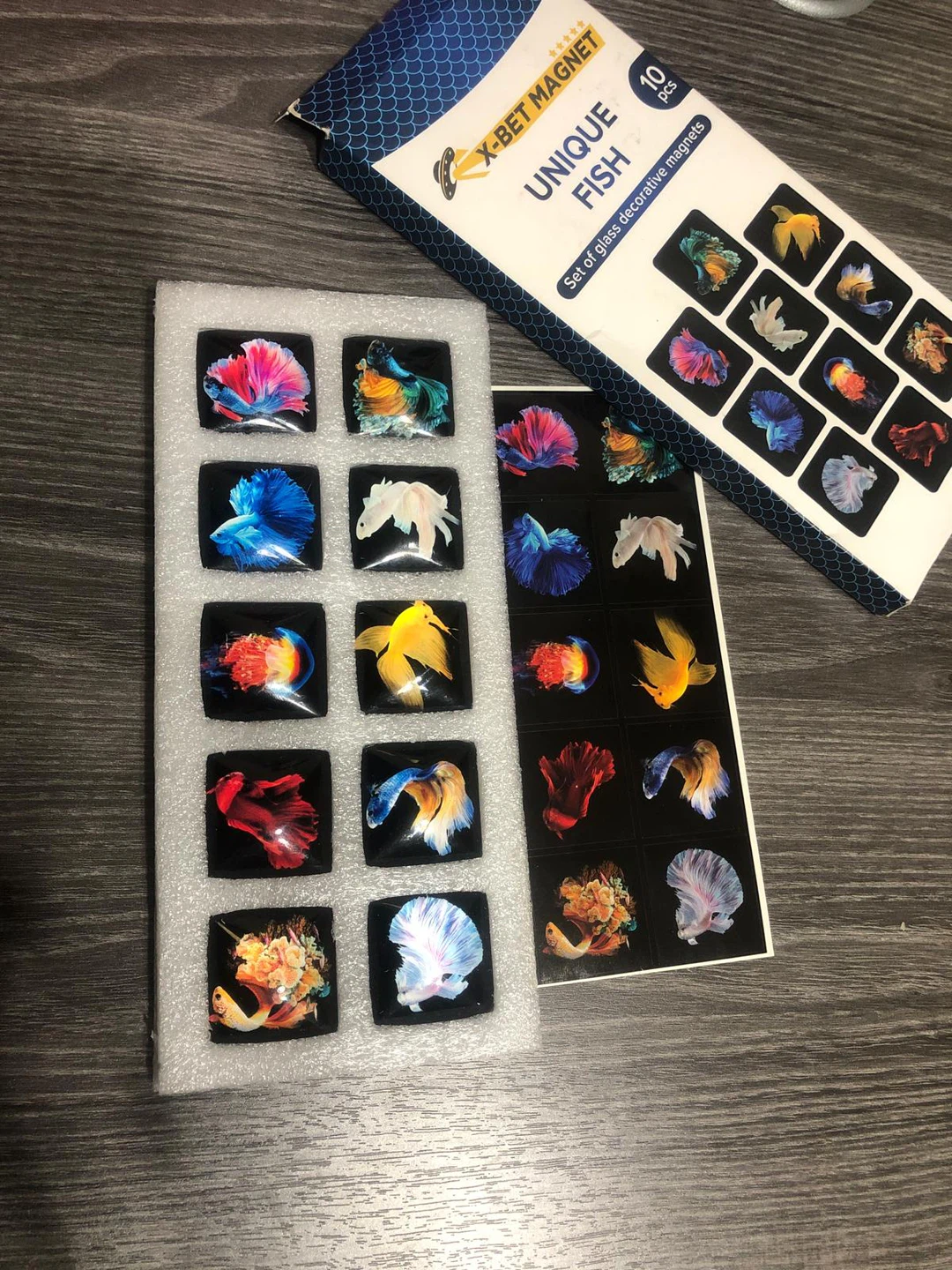 X-Bet Magnet Unique Fish Set of 10 Glass Decorative Magnets - photo 3