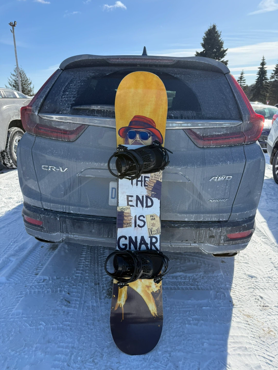 DC Snowboard "The End is Gnarly" Graphic - photo 2