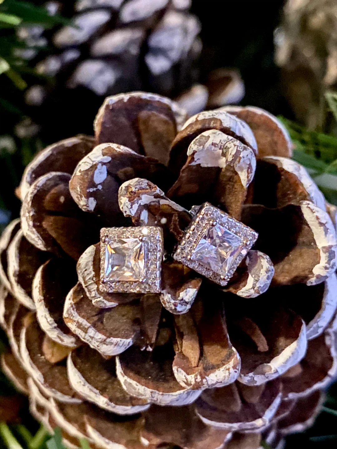 Square Halo Stud  925 Silver Earrings