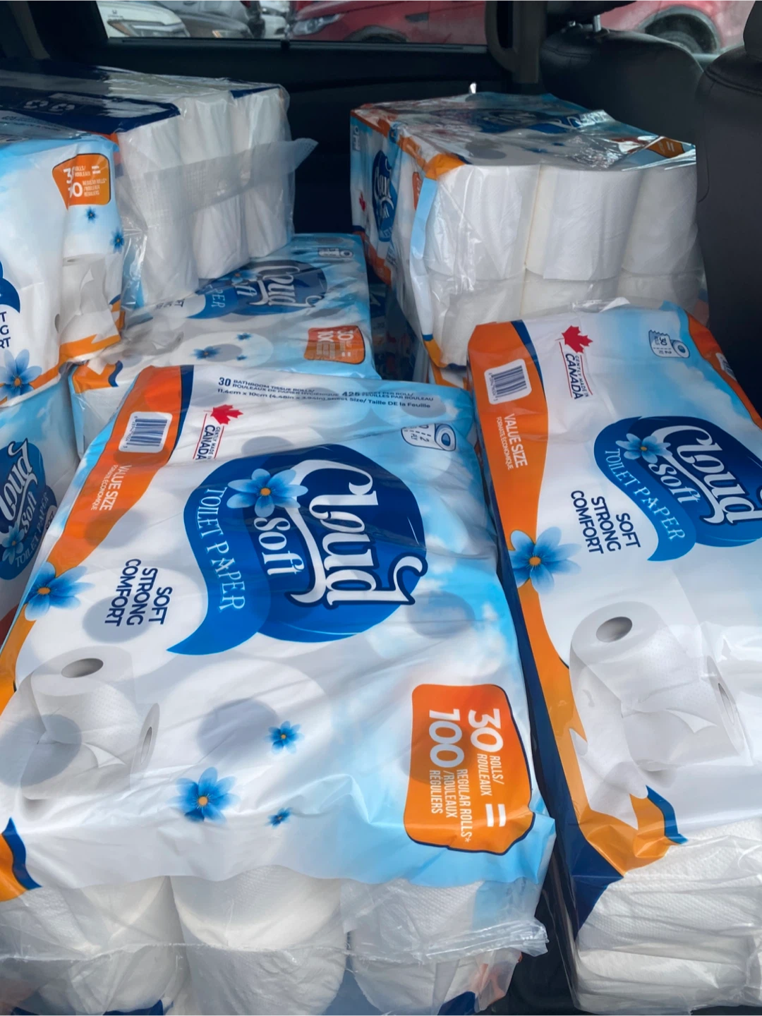 Cloud Soft Toilet Paper - Value Size Packs - photo 3