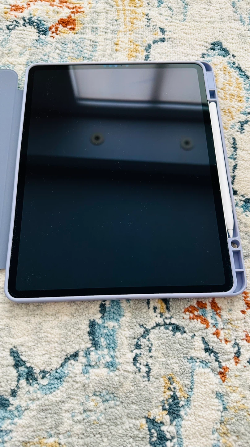 Apple iPad Pro 12.9 inch 6th Gen 512GB