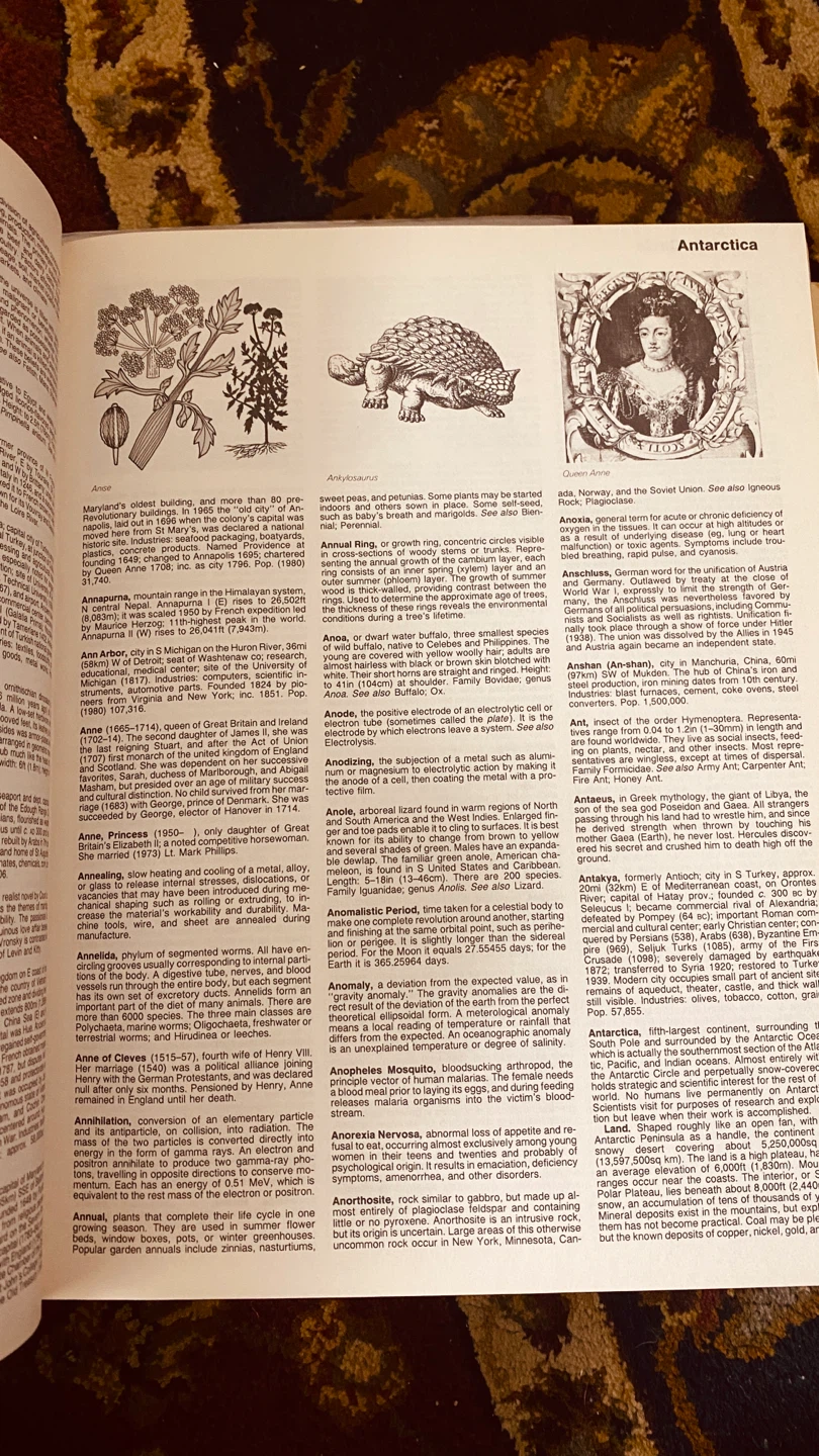 The New Illustrated Encyclopedia of Knowledge Revised Edition - photo 4