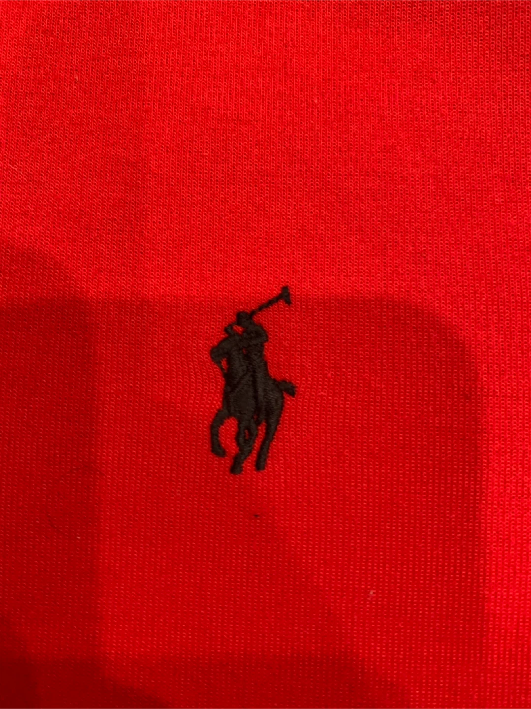 Polo Ralph Lauren Zip up Hoodie - photo 4