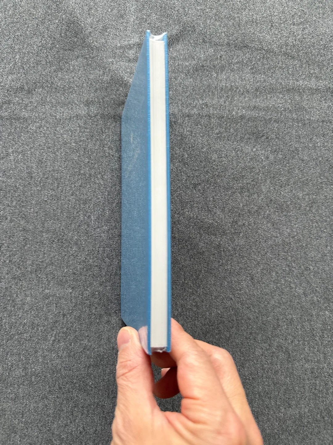 Georg Jensen Blue Notebook - photo 3