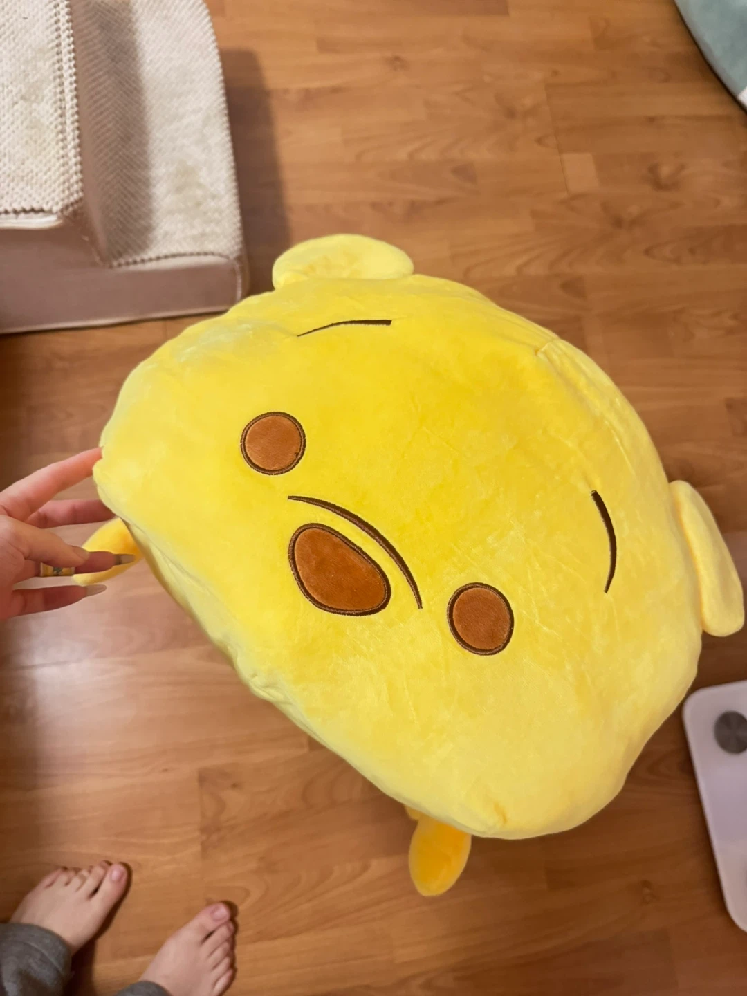 Plush Winnie the Pooh Pillow