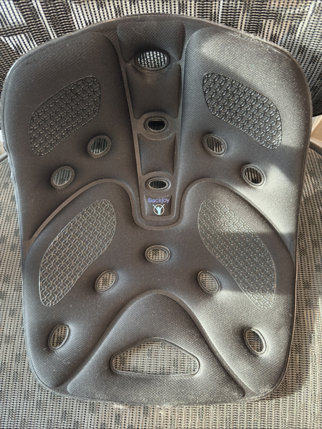Backjoy Posture Seat