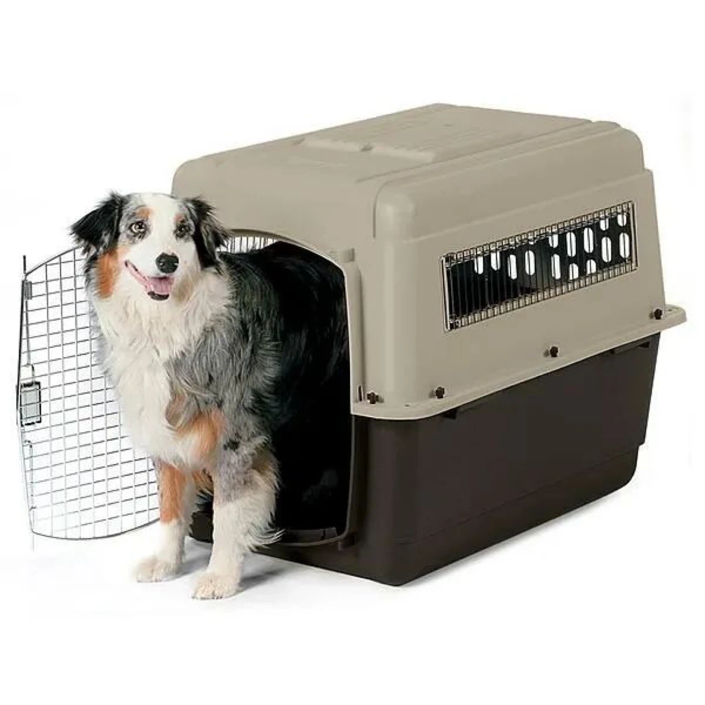 Dog Crate Carrier 300
