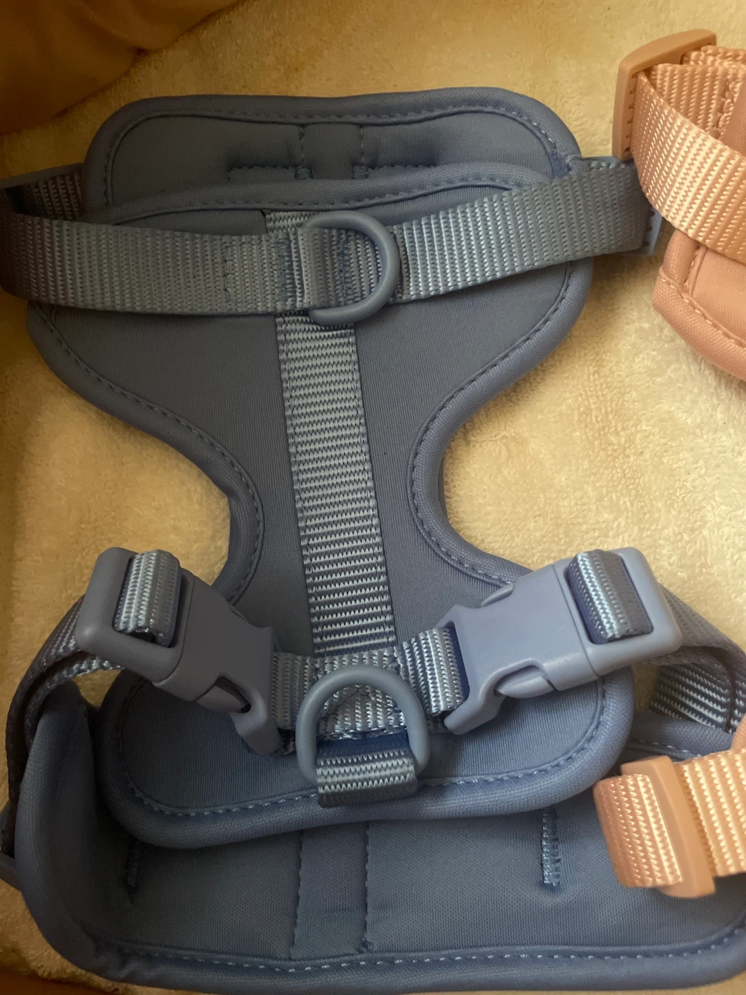 Pet Harness Small- Pink and Blue